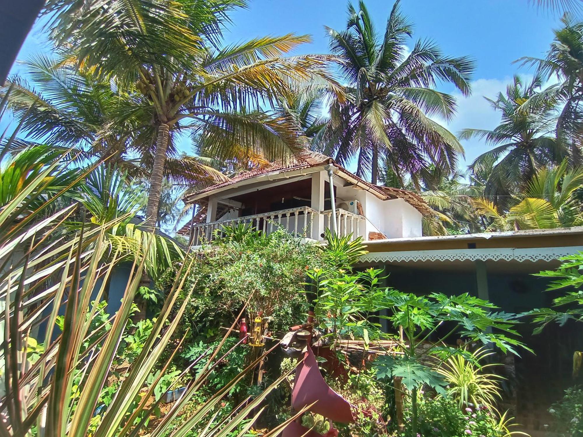 Hotel Monsoon à Agonda Extérieur photo